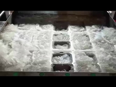 SHM 펄프 성형 조가비 상자 기계